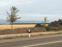 IMG_1266