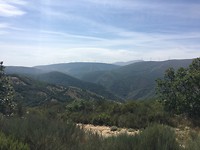 IMG_1291