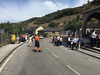 IMG_1292