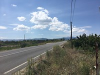 IMG_1305