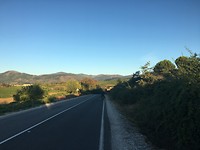 IMG_1317