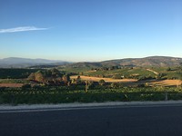 IMG_1318