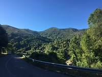 IMG_1347