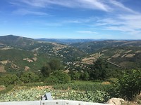 IMG_1363