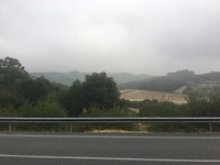 IMG_1380