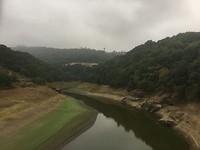 IMG_1383