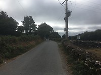 IMG_1389