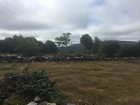 IMG_1390