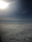 IMG_1441