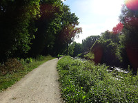 DSC00496