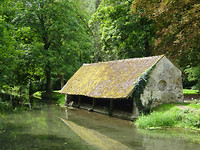DSC00503