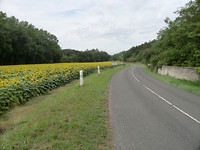 CIMG1471
