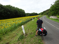 DSC00553