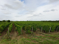 DSC00558