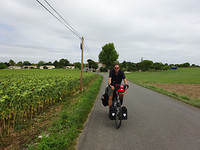 DSC00618