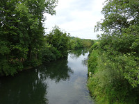 DSC00625