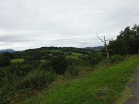 DSC00696