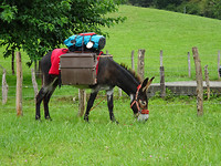 DSC00698