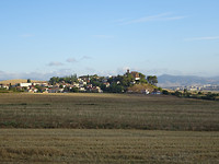 DSC00736