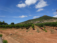 DSC00761
