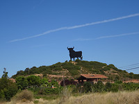 DSC00769