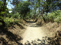 DSC00904