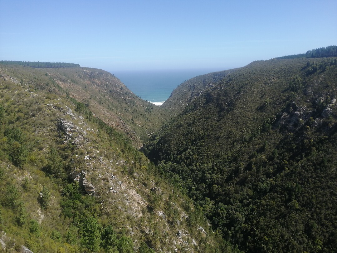 Dal richting Port Elizabeth