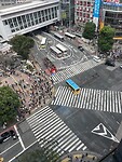 Shibuya Crossing