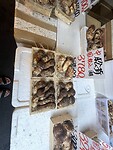 IMG_4312