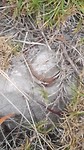VID_20190320_171507