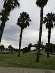 IMG_20190329_114838