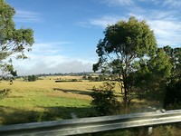 IMG_20190403_085230