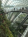 Gardens by the Bay regenwoud