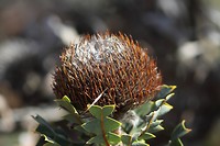 IMG_1739