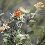 IMG_1721