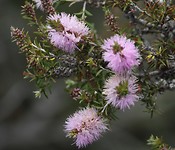 IMG_1722