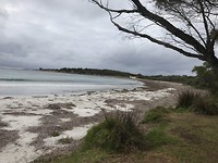 Strand Cheynes