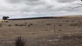 tussen Cheynes en Jerramungup