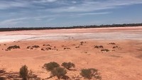 Landschap net voorbij Norseman, begin Nullarbor