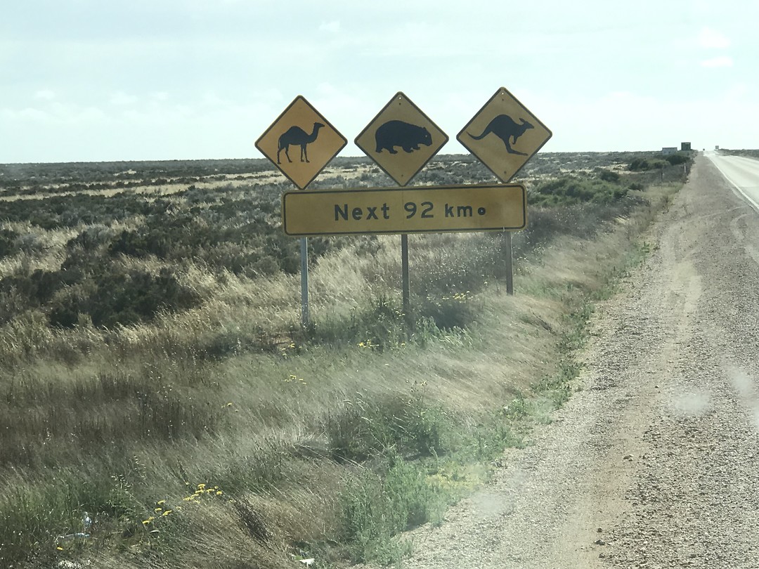 Het beroemde bord dus.....