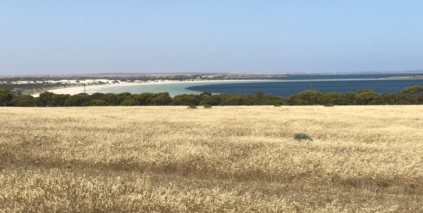 Ceduna