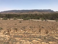 Onderweg in de outback naar Wilpena Pound