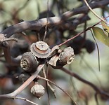 IMG_2427