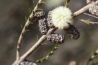 IMG_2478