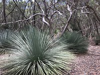 Flinders Chases National Park