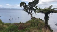 Sarah Island