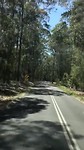 Rij je weer even mee? Dit is de Princess Highway in Mimosa NP