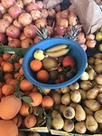 Mijn bak mijn vers fruit