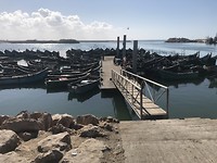 De haven