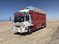 Een vrachtwagen vol met kippen
